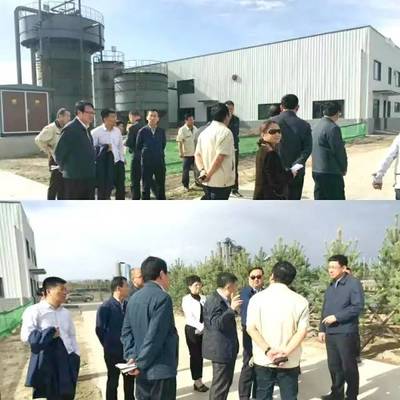 內蒙古自治區黨委常委、呼和浩特市委書記云光中一行蒞臨萬德斯環保項目現場視察指導