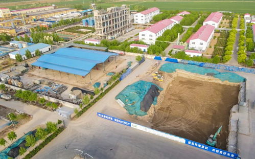 東風勁吹春潮涌 徐家河鄉外引內育抓項目促發展掠影