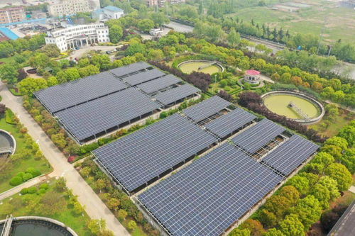 三峽集團長江大保護再上新 生態CP、智慧工地與ABO項目驅動環保開發